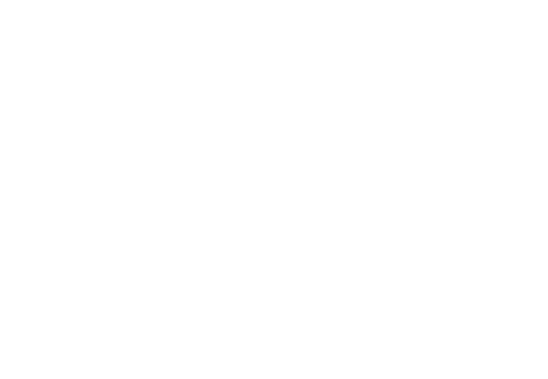 Cummings Great Expectations Flint